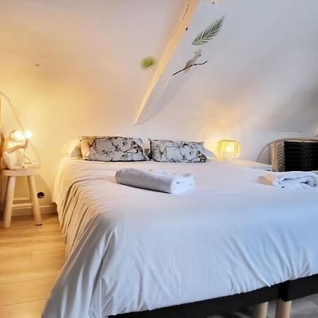 La Cabane - Petit Studio Mansarde - Plage 50M - Rue Gratuite Saint-Malo Exterior photo