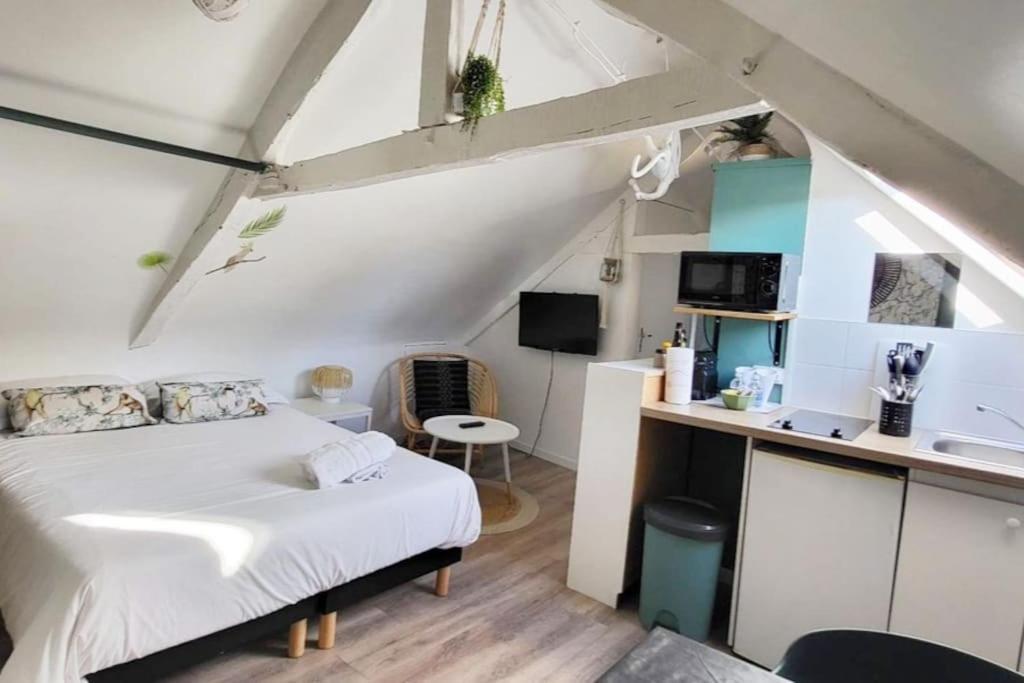 La Cabane - Petit Studio Mansarde - Plage 50M - Rue Gratuite Saint-Malo Exterior photo