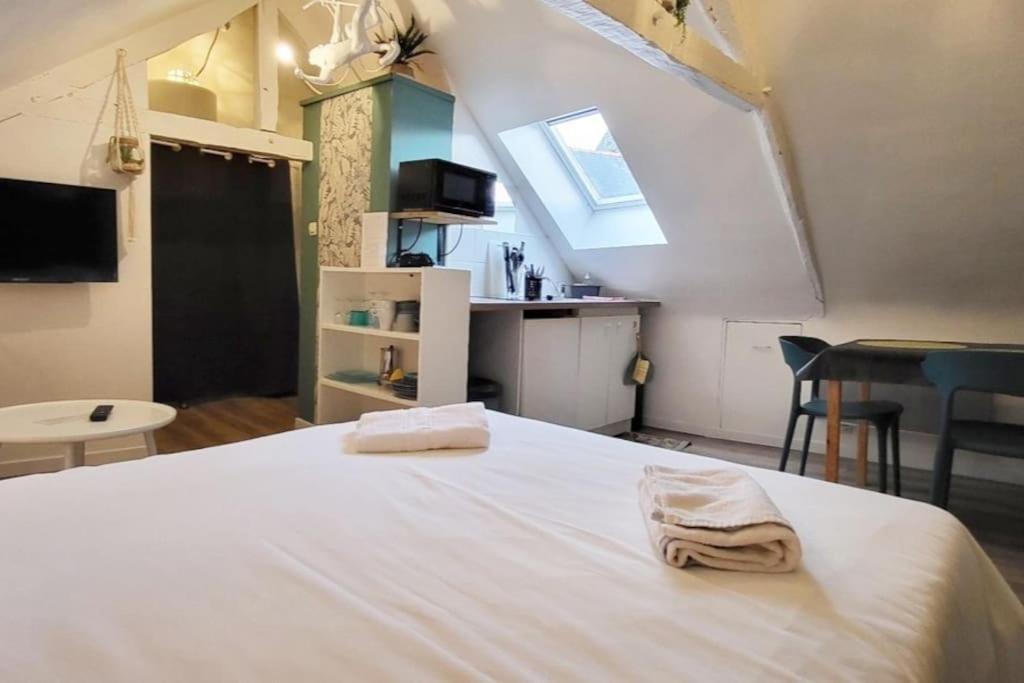 La Cabane - Petit Studio Mansarde - Plage 50M - Rue Gratuite Saint-Malo Exterior photo